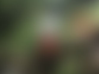 So. Baptists respond to Midwest tornadoes, flooding