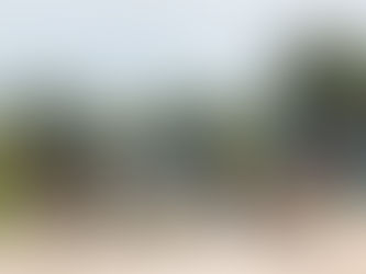 Christians in Sudan may face Sharia law as oppression overtakes Sahel