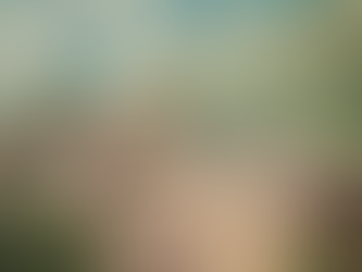 3 reasons we need rural church plants