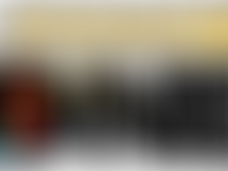 2017 annual meeting summary