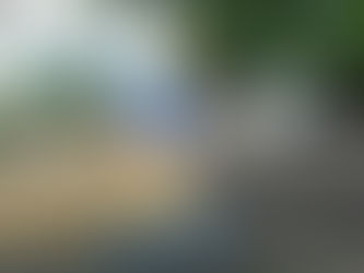 DR efforts continue in Carolinas, across U.S.