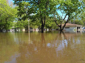 COVID-19 hampers Michigan Baptist response to historic flooding