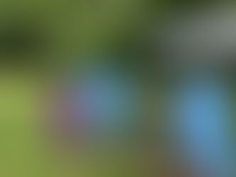 Praise and serve neighborhood block party