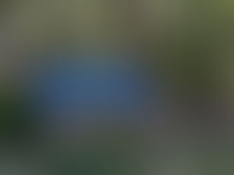 Frances Brown State Mission Offering announced