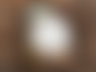 New study Bible takes readers on a Holy Land journey