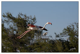 20220405-085030_jpn copie_web.jpg