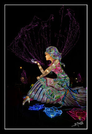 20230128-202553_jpn copie_web.jpg