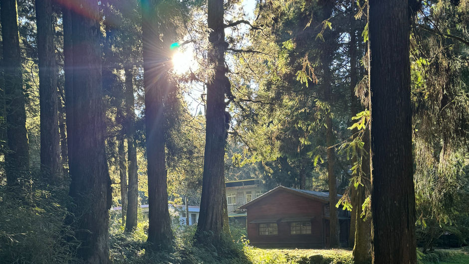 Taiwan Day 6: Alishan National Forest Recreation Area