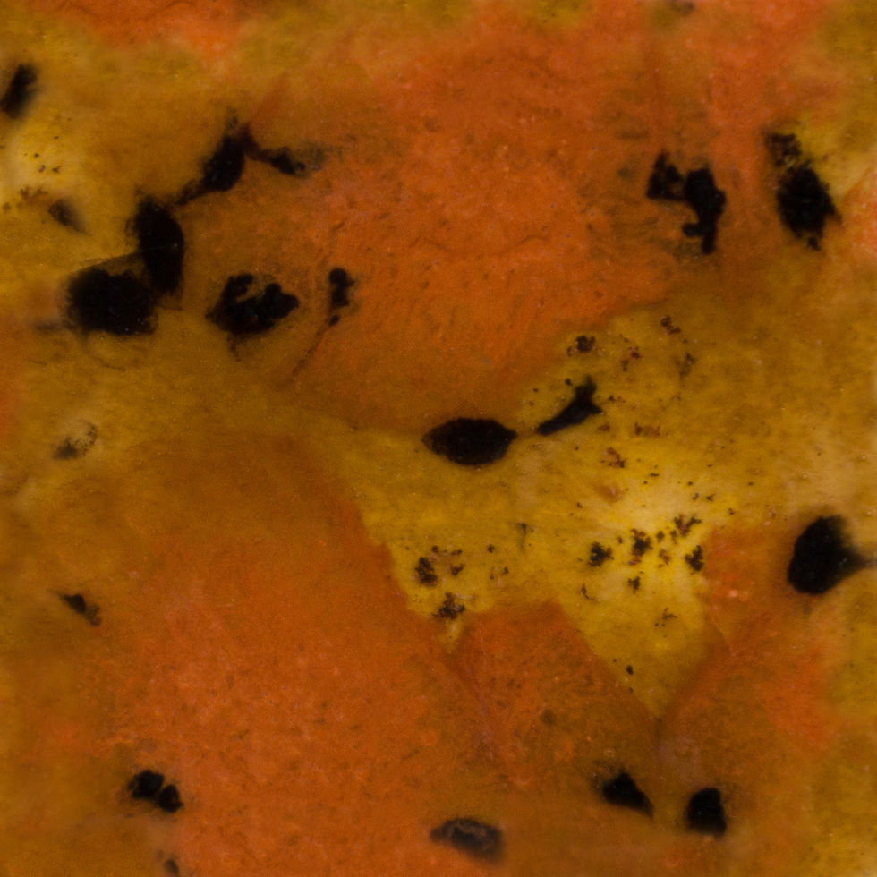 S2725P Safari textured pattern with amber and black spots
