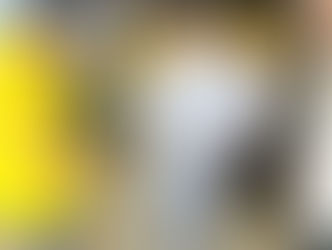 LOVOL BRASIL na M&T Expo 2024: Uma Participação de Sucesso!