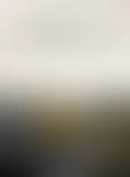 INSTINCTS de SARAH MARQUIS