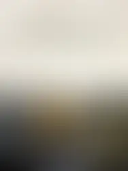 INSTINCTS de SARAH MARQUIS