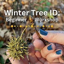 Public Programs Insta Posts (4).png