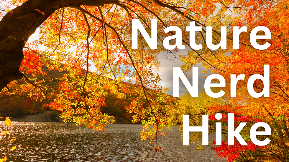 Nature Nerd Hike