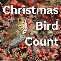 Public Programs Insta Posts (16).png