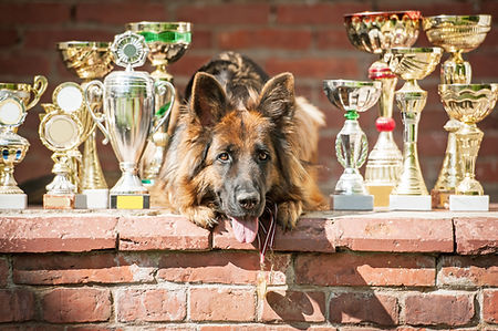 AdobeStock_89114407.jpeg