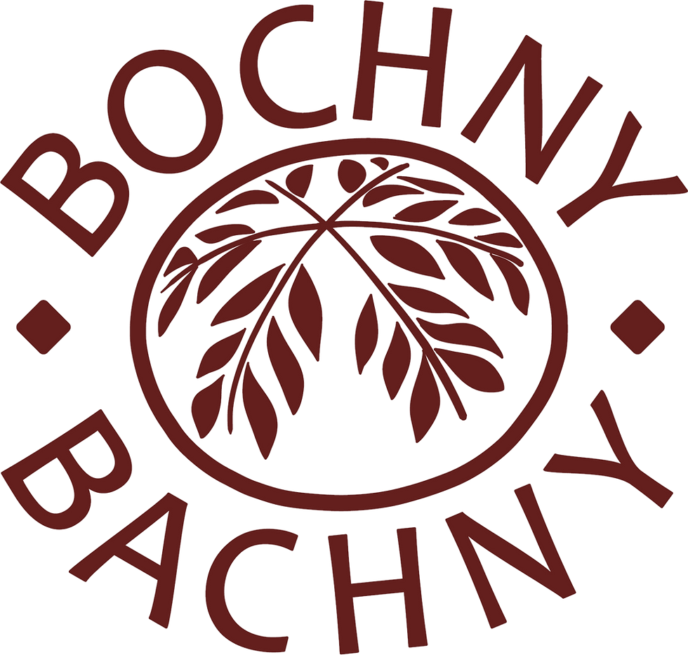 png_bochny_braz_rgb_edited.png