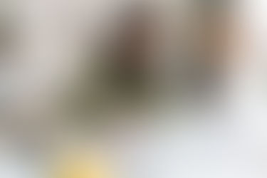 Keep Your Academic Skills Sharp This Summer