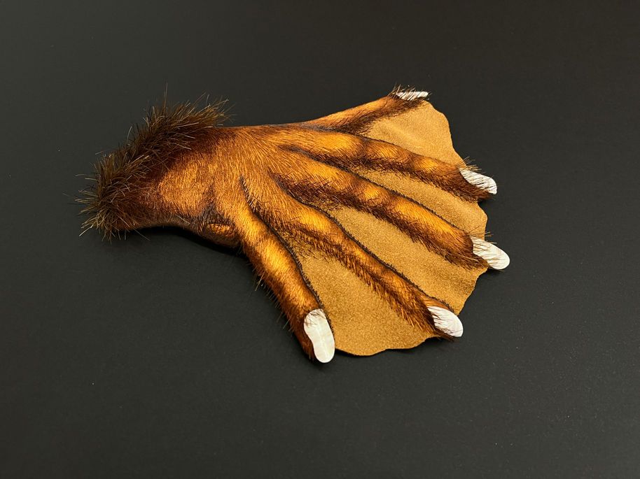 Dépassement de l'idée d'espèce : le Castor
Sculpture brodée représentant une patte arrière de castor.
Broderie en peinture à l'aiguille au fil de coton, avec incrustation de crins de cheval et de vache, de chute de refente de cuir et de fragments de couteaux de mer.
Photo: Benoît Cattiaux
Céline Le Belz
Brodeline
Meilleur Ouvrier de France
Costume breton
Costume traditionnel
Brodeuse Bretagne Morbihan
Brodeuse bretonne
Brodeur breton
Broderie d'Art
Broderie traditionnelle
Broderie contemporaine
Broderie main
Artiste Bretagne
Artisan d'Art
Savoir-faire
Patrimoine