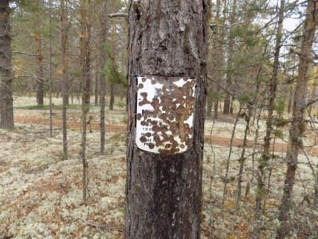 Польская табличка