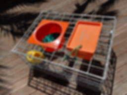 *Xmas deal*2025 *Large*9kg*--HEAVY DUTY**Crayfish pot