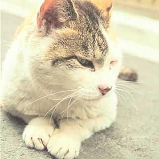 執筆者の写真: Masumi Kimura