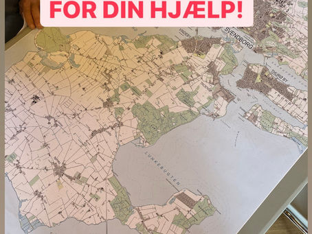 Hjælp til analyse af lokalområderne