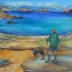 The Shepherd's view.