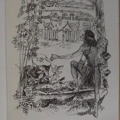 An illustration from Tarore's Book. The study guide contains relevant maps and comprehension questions for each chapter.
