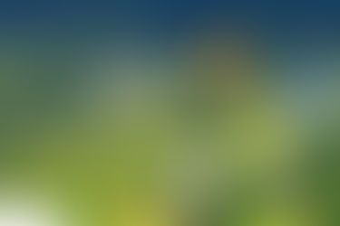 Panorama Glamping - Câu chuyện đằng sau giải thường quốc tế