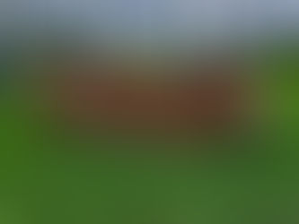 Huge win for Lakeshore Striders in the Juvenile Relays 