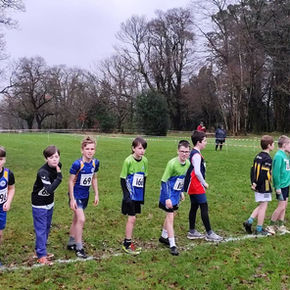 Young Athletes Impress at Wicklow B Cross Country Championships