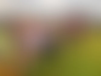 Lakeshore Striders Lead the Way as Wicklow Juvenile League Kicks Off at Russborough House