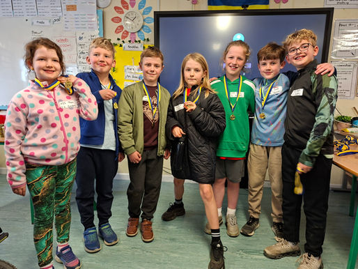 Thrilling Battles Across All Age Groups at Wicklow Community Games County Chess Finals