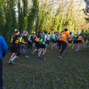 Parnell and Kilcoole Shine at Athletics Wicklow Masters Cross Country Championships