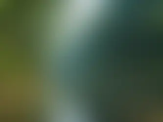 World of Anacondas: Uncovering Their Habits, Reproduction, and Unique Traits