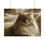 Thumbnail: Cat Poster Home Wall Art Cozy 