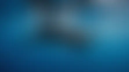 Orcas A Comprehensive Exploration of Their Lives, Diet, Reproduction and Significance