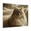 Thumbnail: Cat Poster Home Wall Art Cozy 