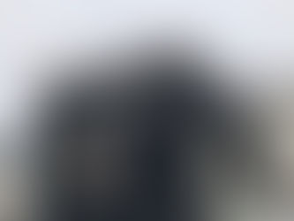 早くに降ってきました