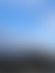 明けましておめでとうございます