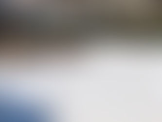 これにて冬は・・