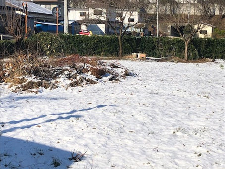 これにて冬は・・