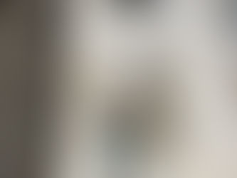 草刈りをしました