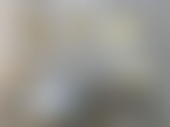 美味しいお土産