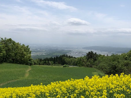 菜の花畑 喜多方