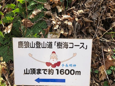 4月になりましたね!(鹿狼山登山)