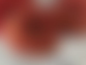 蟠桃(ばんとう)モモです