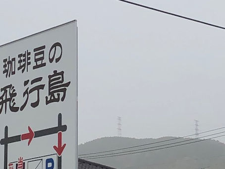 うららかな一日です