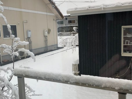 また雪が・・・